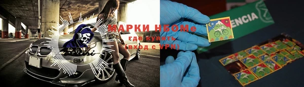 шишки Абаза