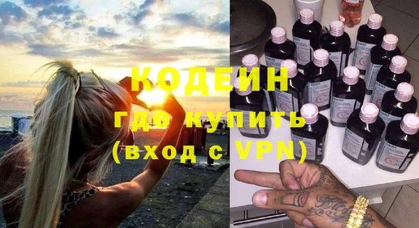 шишки Абаза