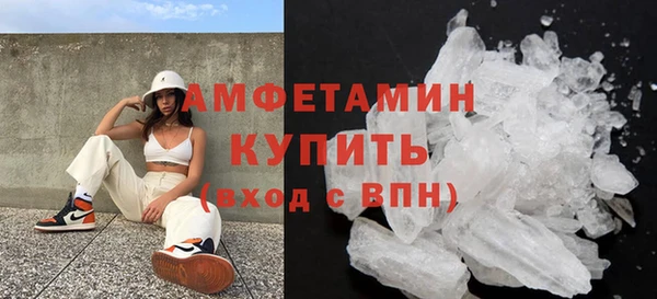 шишки Абаза