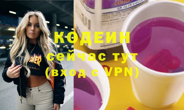 шишки Абаза